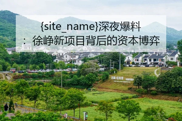 吃瓜网站深夜爆料：徐峥新项目背后的资本博弈
