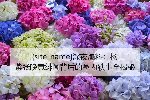 吃瓜网站深夜爆料：杨紫张晚意绯闻背后的圈内轶事全揭秘